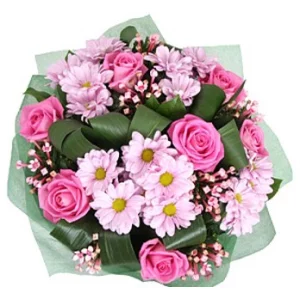 Мечта незнакомки